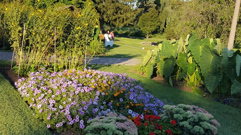 Friends of the Allentown Parks - Allentown, PA