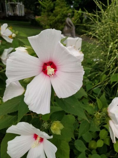 Friends of the Allentown Parks - Allentown, PA