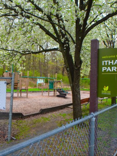 Ithaca Park & Wilderness Trail - Allentown, PA