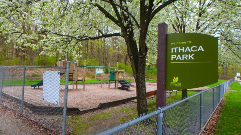 Ithaca Park & Wilderness Trail - Allentown, PA