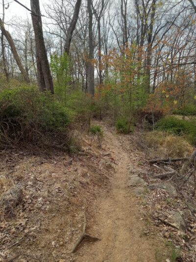 Ithaca Park & Wilderness Trail - Allentown, PA