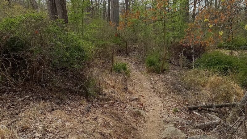 Ithaca Park & Wilderness Trail - Allentown, PA