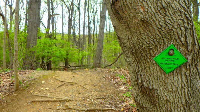 Ithaca Park & Wilderness Trail - Allentown, PA
