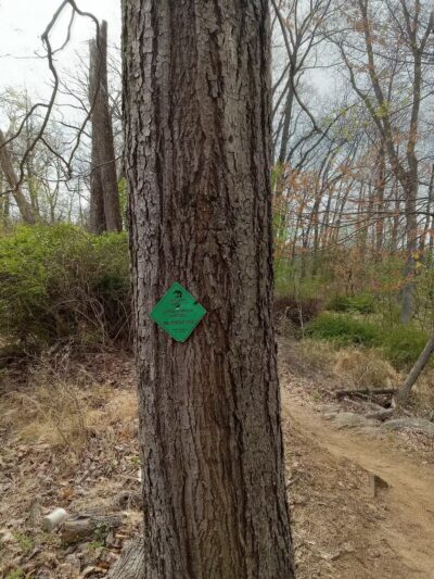 Ithaca Park & Wilderness Trail - Allentown, PA