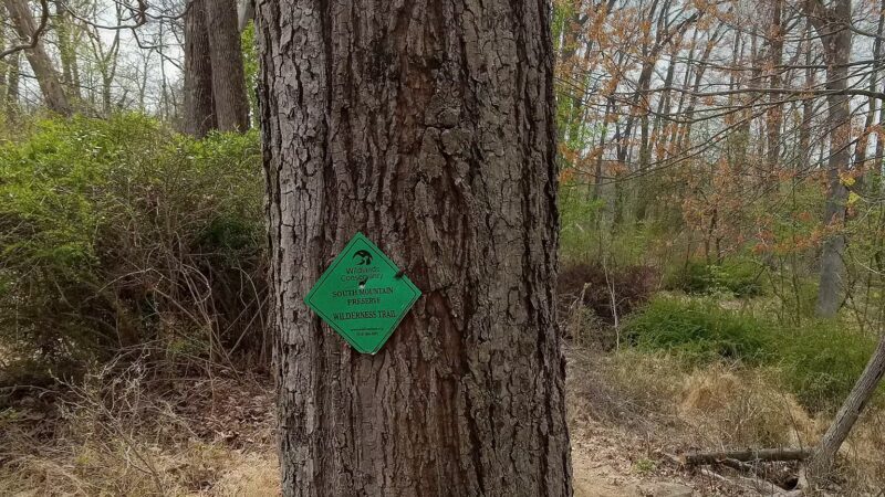 Ithaca Park & Wilderness Trail - Allentown, PA