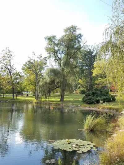 Laubach Park - Allentown, PA