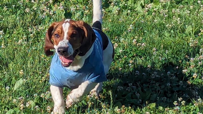 Lehigh County Sports Fields - Allentown, PA