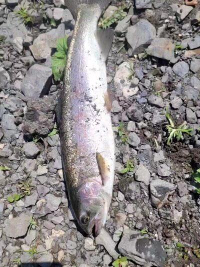 Lehigh Mountain Park - Allentown, PA