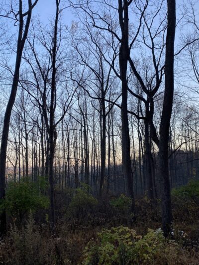 Lehigh Mountain Park - Allentown, PA