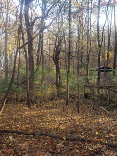 Lehigh Mountain Park - Allentown, PA