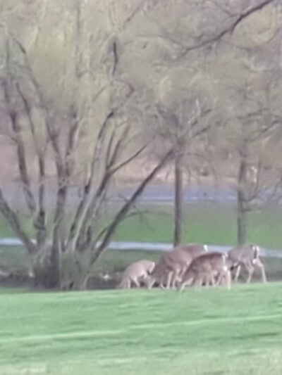 Lehigh Parkway - Allentown, PA