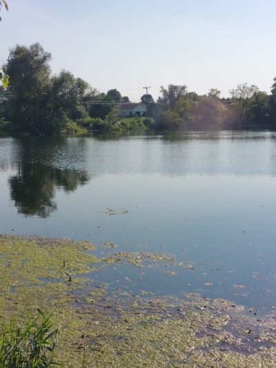 Levans Recreational Park - Allentown, PA
