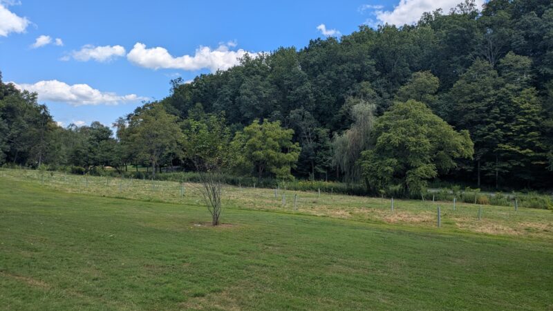 Little Lehigh Park Arboretum - Allentown, PA
