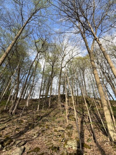 Little Lehigh Park Arboretum - Allentown, PA