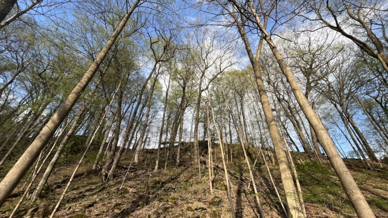 Little Lehigh Park Arboretum - Allentown, PA