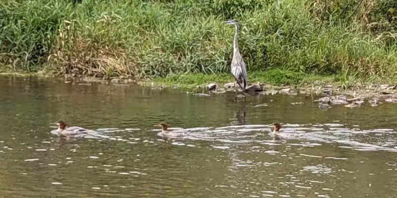 Little Lehigh Park Arboretum - Allentown, PA
