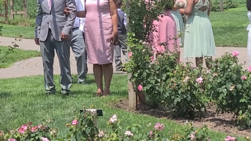 Malcolm Gross Rose Garden - Allentown, PA