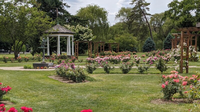 Malcolm Gross Rose Garden - Allentown, PA