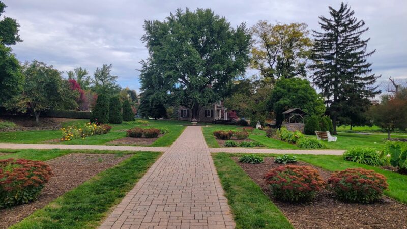 Malcolm Gross Rose Garden - Allentown, PA