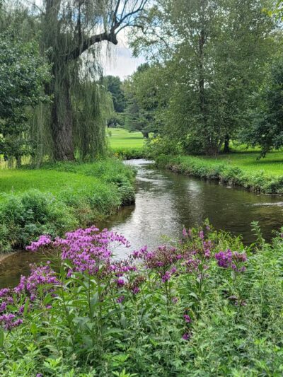 Malcolm Gross Rose Garden - Allentown, PA