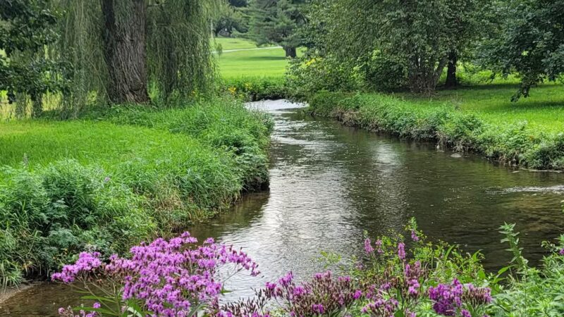 Malcolm Gross Rose Garden - Allentown, PA