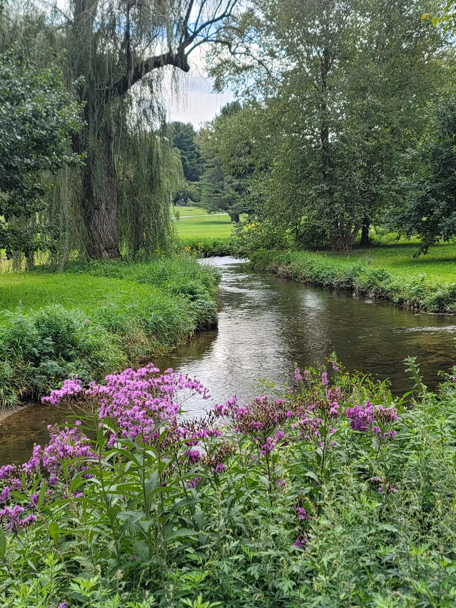 Malcolm Gross Rose Garden - Allentown, PA