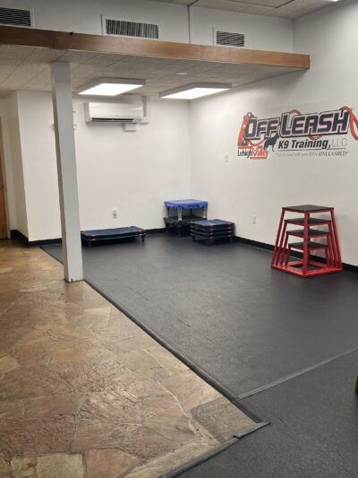 Off Leash K9 Training, Lehigh Valley - Allentown, PA