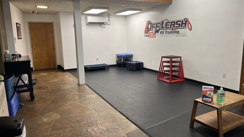 Off Leash K9 Training, Lehigh Valley - Allentown, PA
