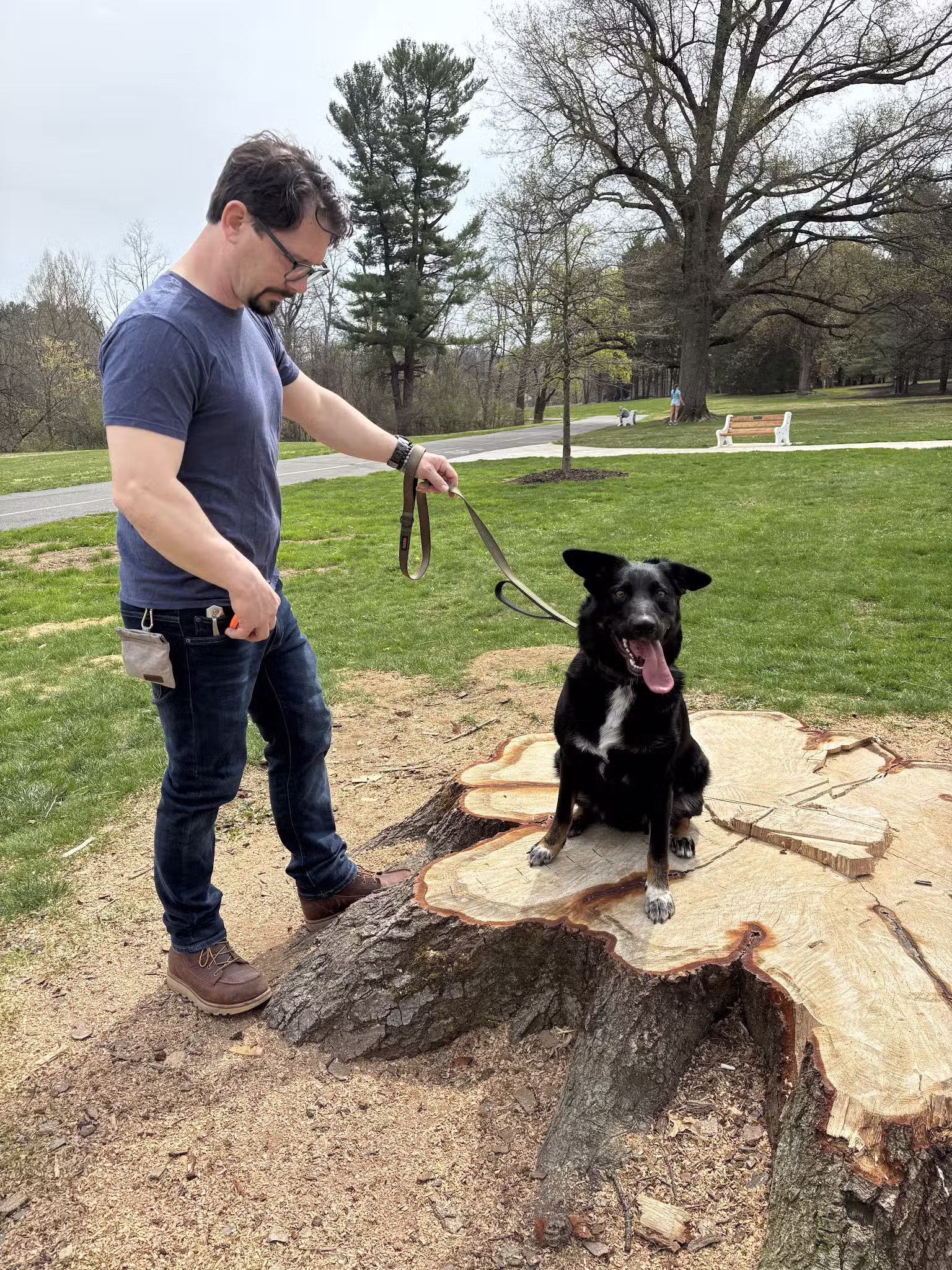 Off Leash K9 Training, Lehigh Valley - Allentown, PA