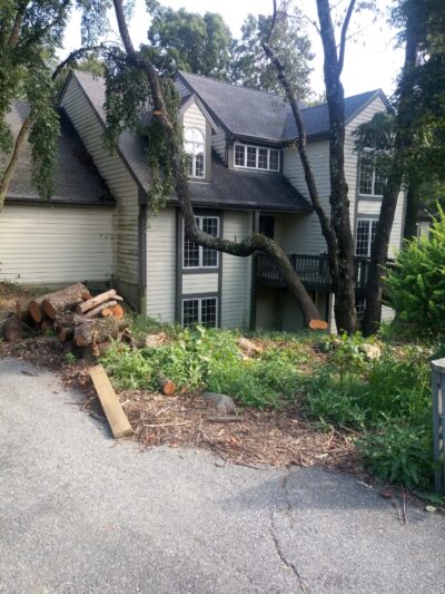 Rodale Park - Allentown, PA