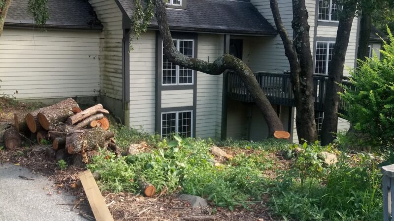 Rodale Park - Allentown, PA