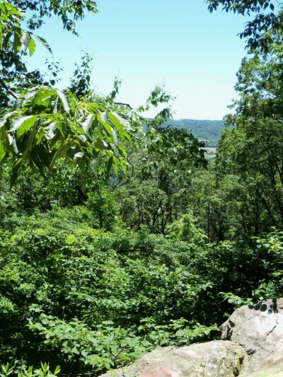 South Mountain Big Rock Park - Allentown, PA