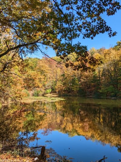 South Mountain Trail - Allentown, PA