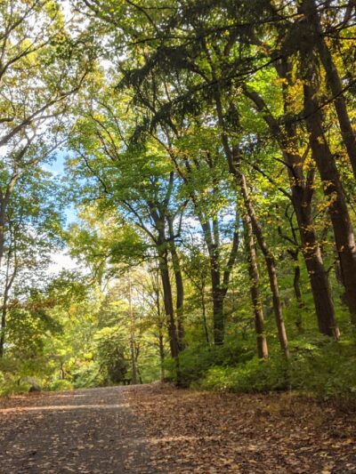 South Mountain Trail - Allentown, PA