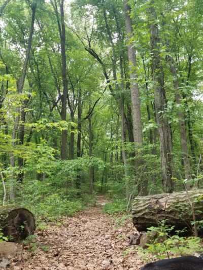 South Mountain Trail - Allentown, PA