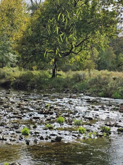 Trout Creek Park - Allentown, PA