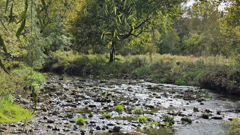 Trout Creek Park - Allentown, PA