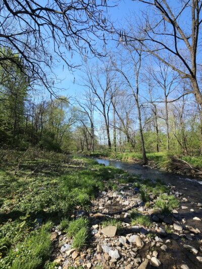 Trout Creek Park - Allentown, PA