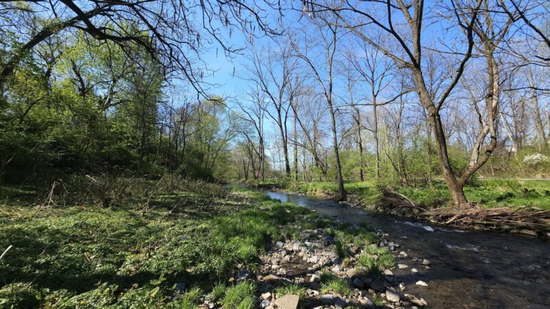 Trout Creek Park - Allentown, PA