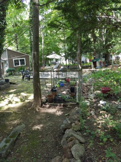 Waldheim Park Grandpop - Allentown, PA