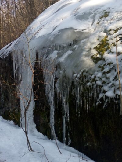 Walking Purchase Park - Allentown, PA
