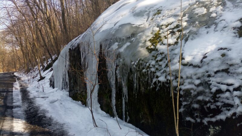 Walking Purchase Park - Allentown, PA