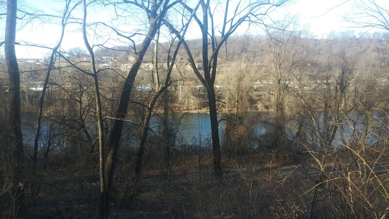 Walking Purchase Park - Allentown, PA