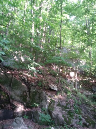 Walking Purchase Park - Allentown, PA