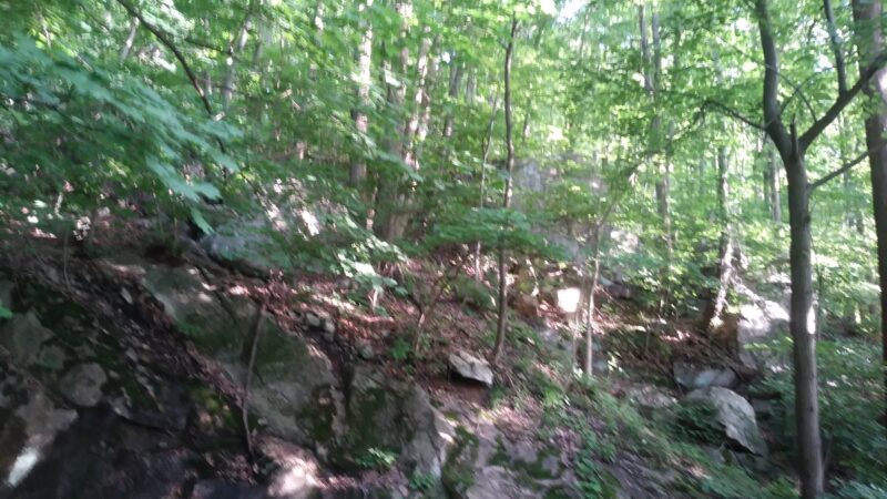 Walking Purchase Park - Allentown, PA