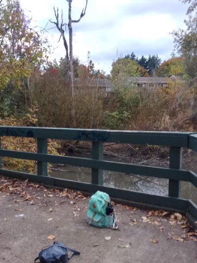 Butternut Park - Aloha, OR