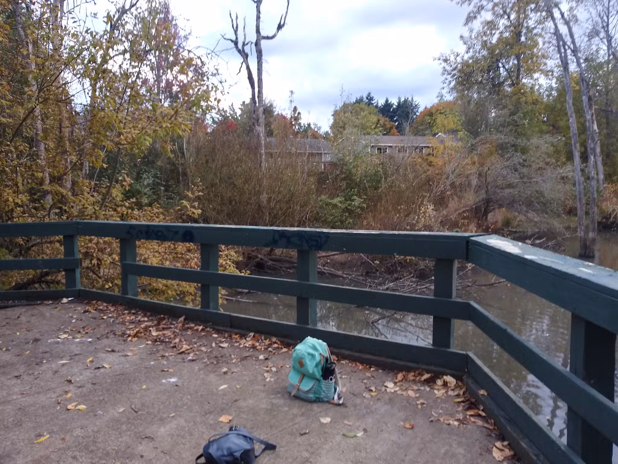 Butternut Park - Aloha, OR