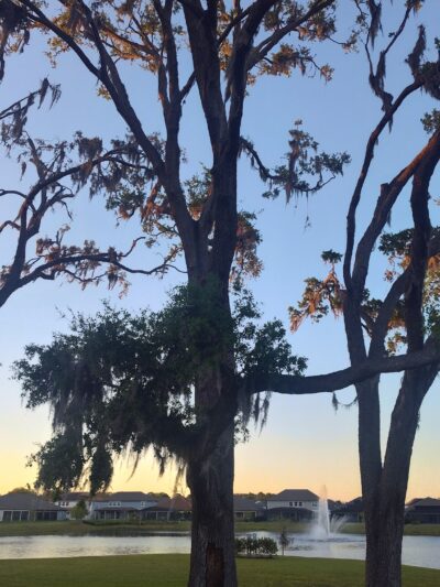 Terminus Park - Aloma, FL