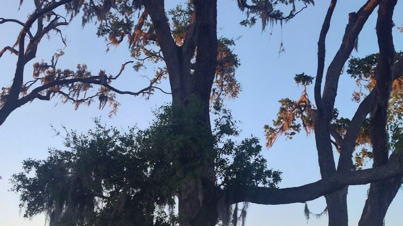 Terminus Park - Aloma, FL
