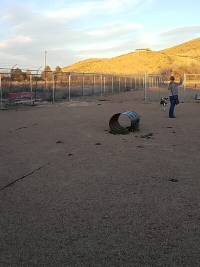 Alpine Dog Park - Alpine, TX